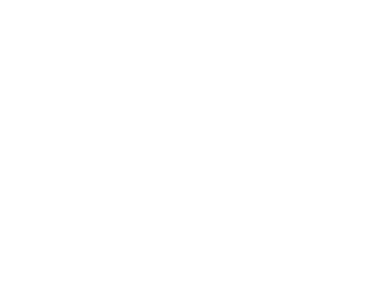 Falcon Africa Partners
